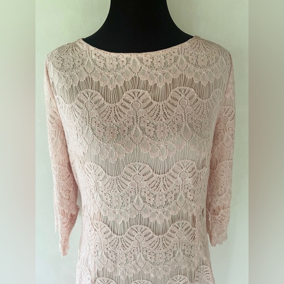 DAINTY JEWELL’S Pink Lace A-Line Midi Dress Size M Fairy Girlhoodcore Romantic - Picture 4 of 12